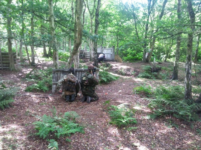  Nuestro sitio en el bosque 